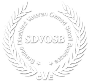 Service Disabled Veteran-Owned Small Business